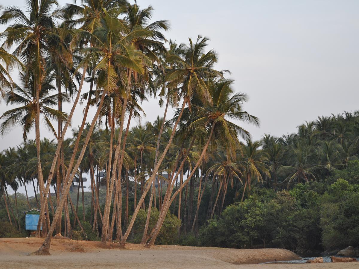 Tutti Garden Bungalows Hotell Mormugao Eksteriør bilde