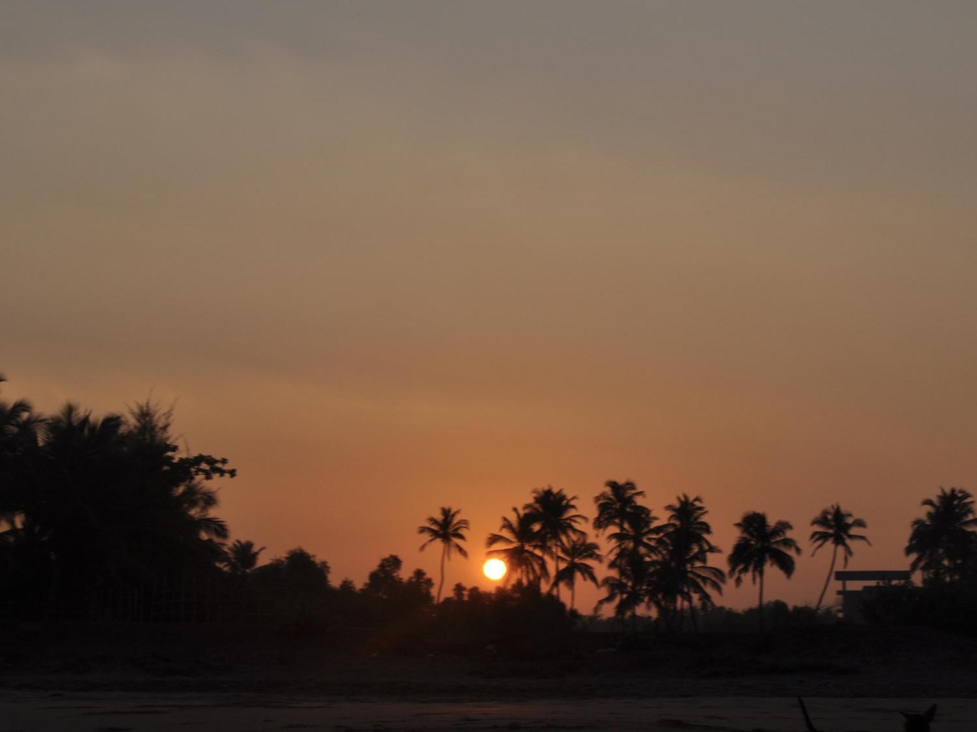 Tutti Garden Bungalows Hotell Mormugao Eksteriør bilde